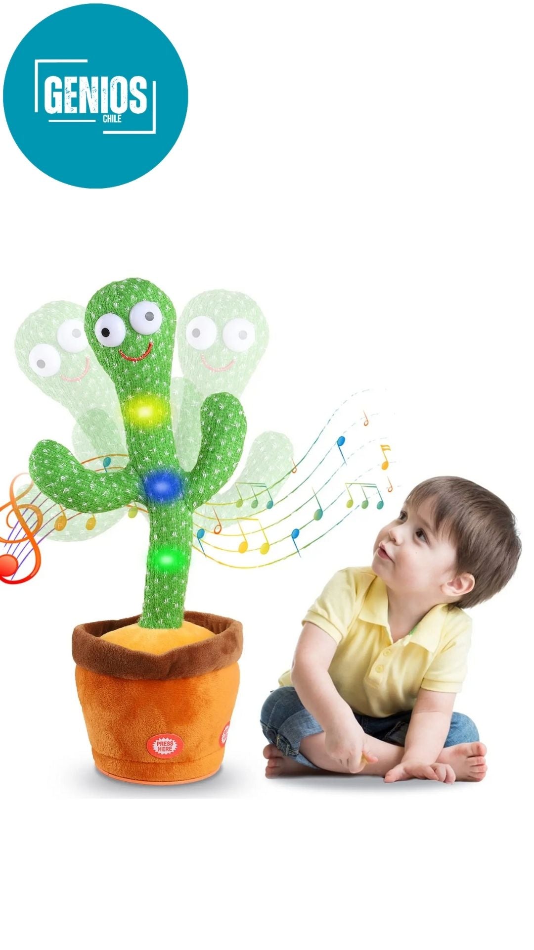 Cactus Bailarín (cantando imitando grabación repitiendo lo que dices)